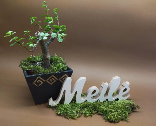 Medinis pastatomas užrašas "Meilė"