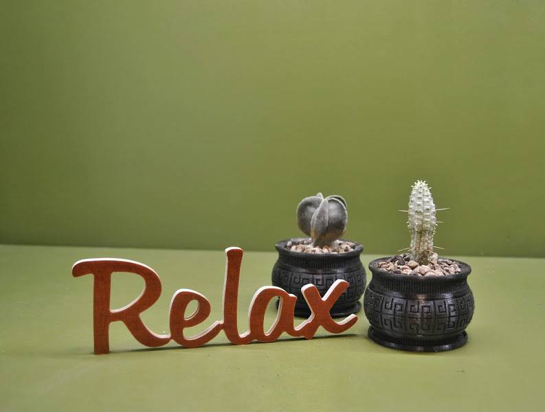 Medinis pastatomas užrašas "Relax" - Image 2