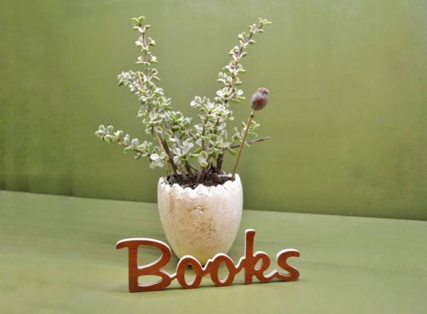 Medinis pastatomas užrašas "Books"