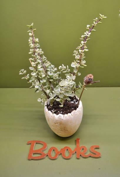 Medinis pastatomas užrašas "Books" - Image 3